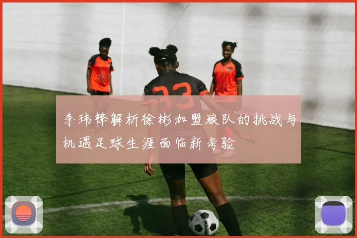 李玮锋解析徐彬加盟狼队的挑战与机遇足球生涯面临新考验