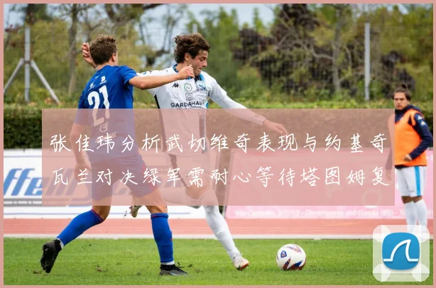 张佳玮分析武切维奇表现与约基奇瓦兰对决绿军需耐心等待塔图姆复出